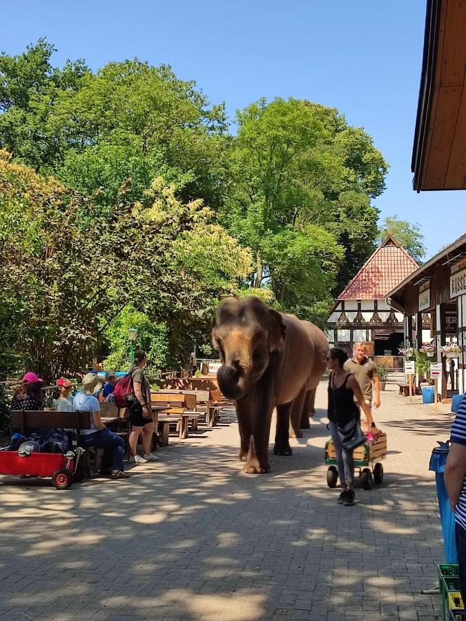 Tierpark Entdeckerhaeuser Wagenfeld ภายนอก รูปภาพ