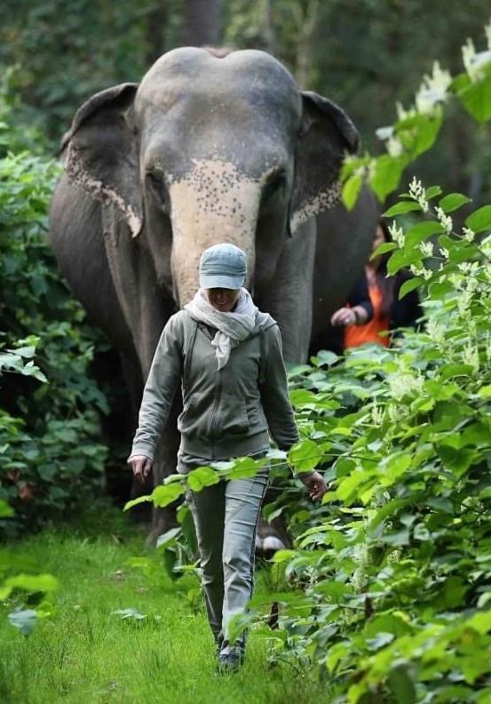 Tierpark Entdeckerhaeuser Wagenfeld ภายนอก รูปภาพ