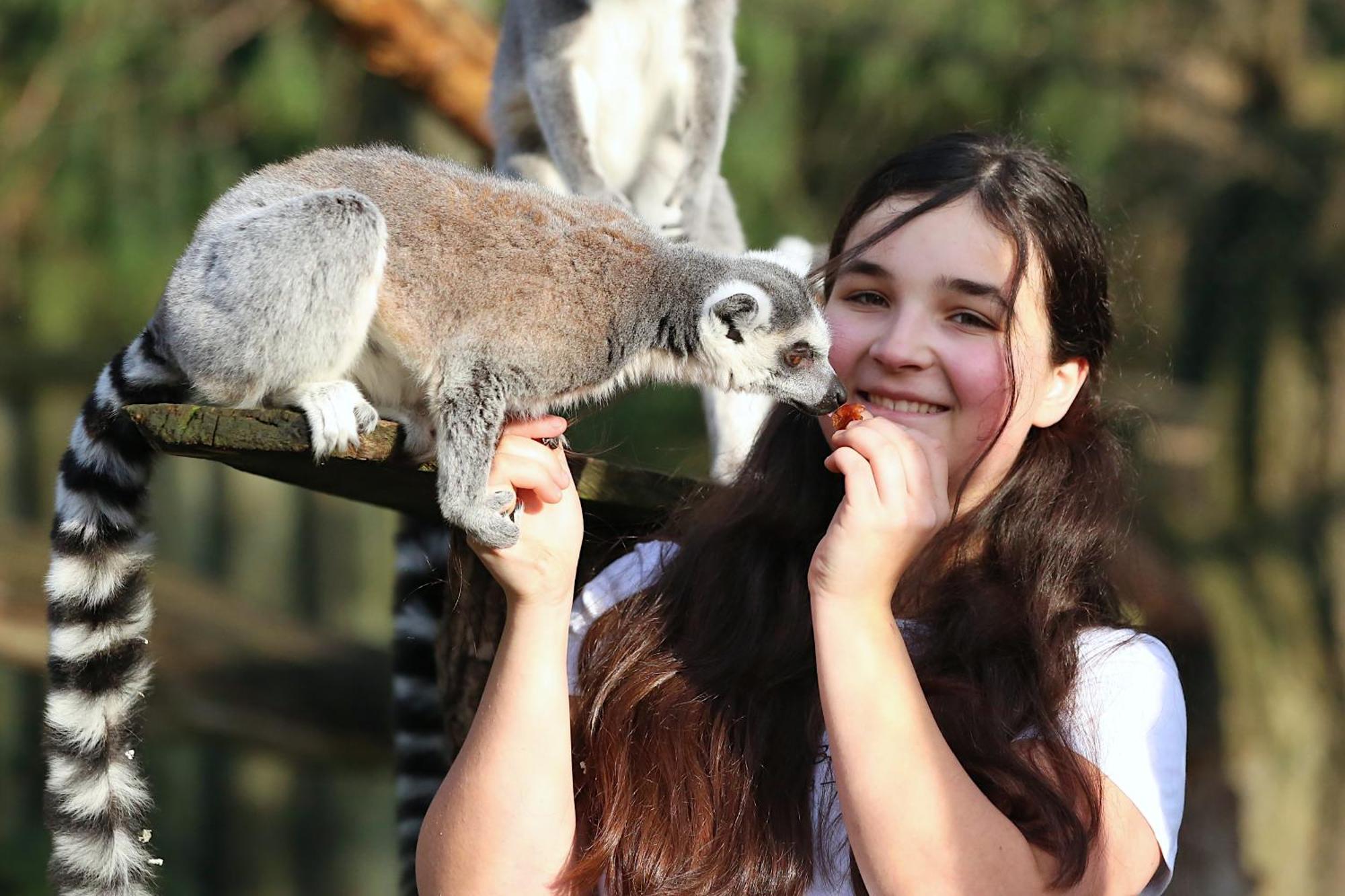 Tierpark Entdeckerhaeuser Wagenfeld ภายนอก รูปภาพ
