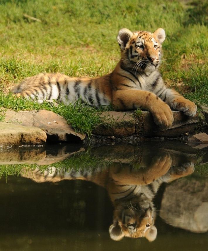 Tierpark Entdeckerhaeuser Wagenfeld ภายนอก รูปภาพ